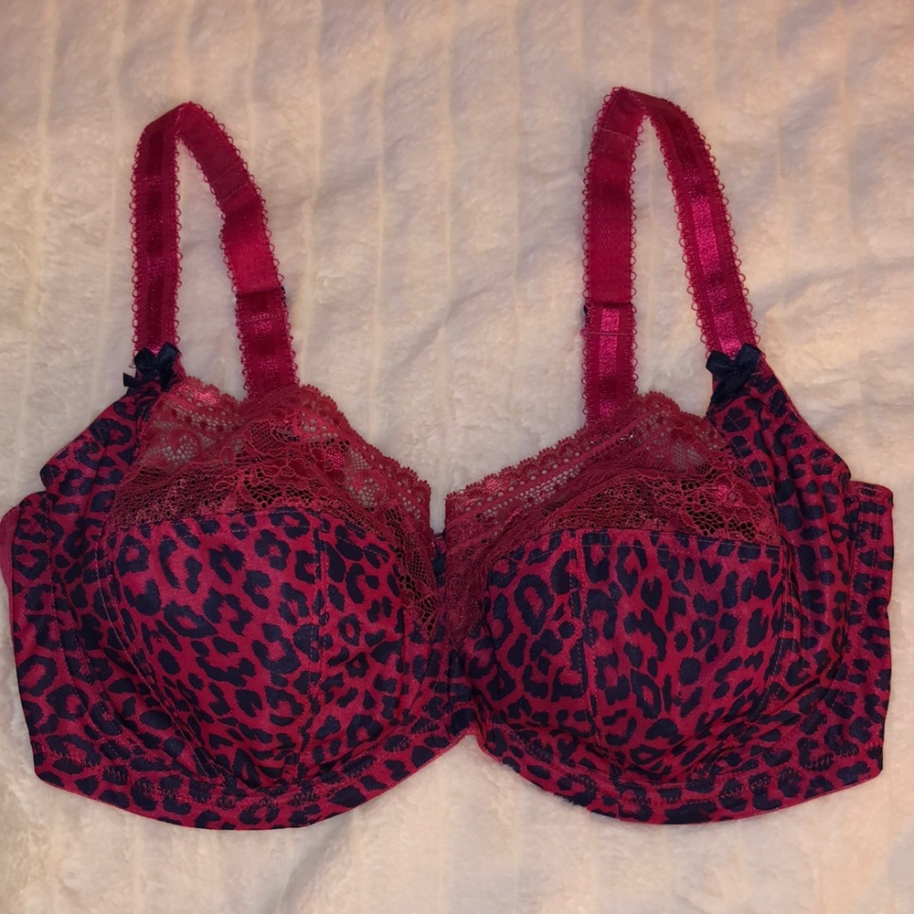 Sculptresse Bra
